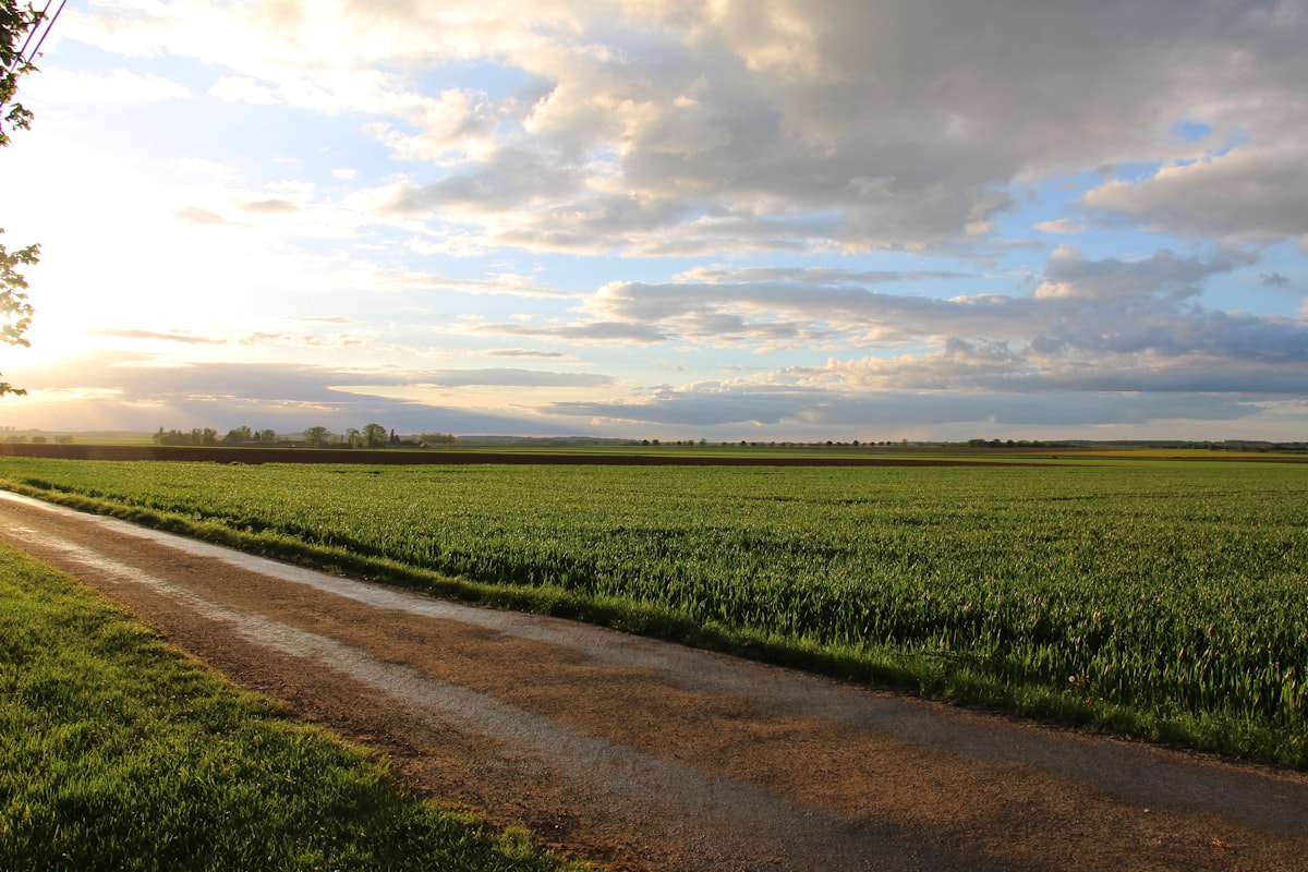 Chemin de campagne proven&ccedil;al, balades et nature dans le Luberon