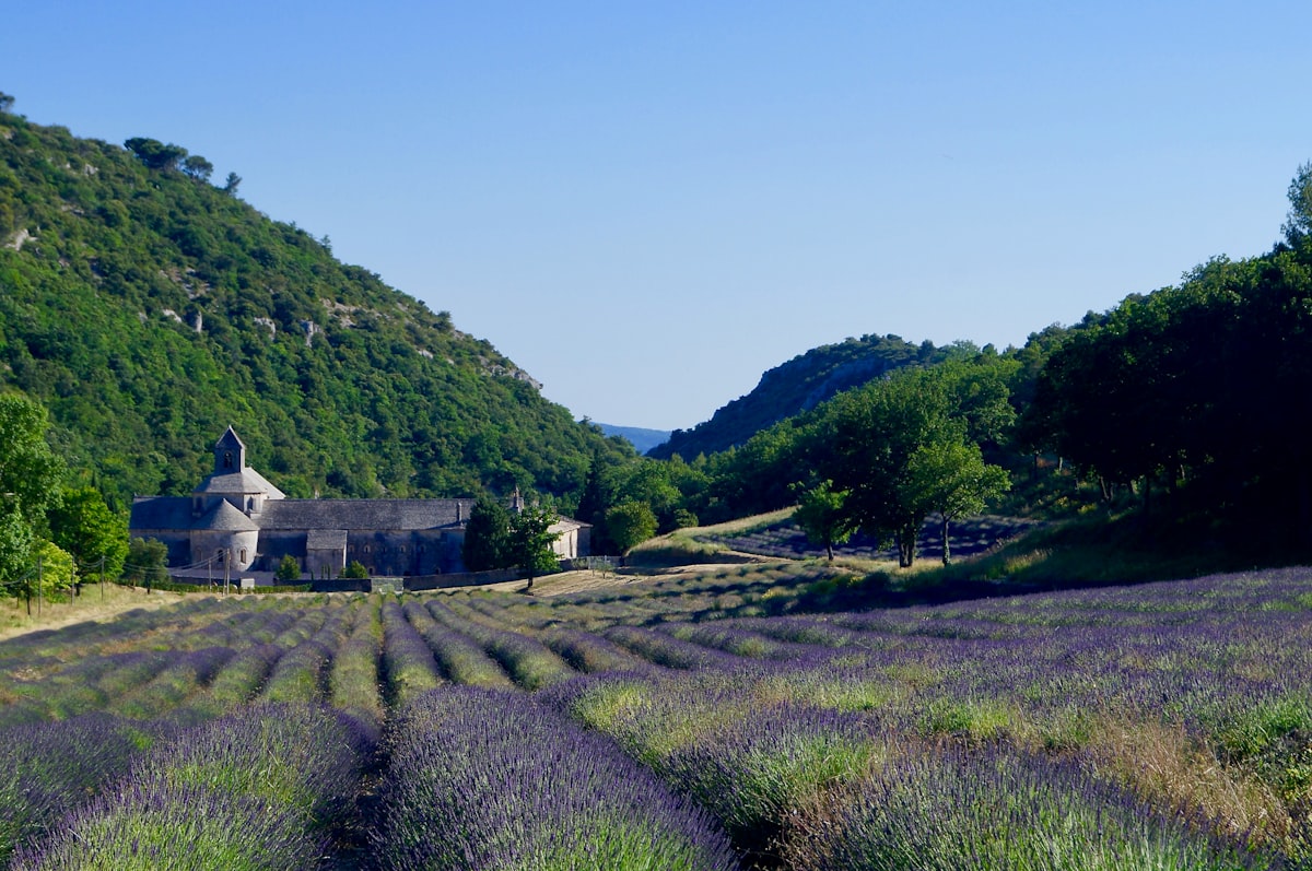 Paysage de collines bois&eacute;es du Luberon, nature pr&eacute;serv&eacute;e